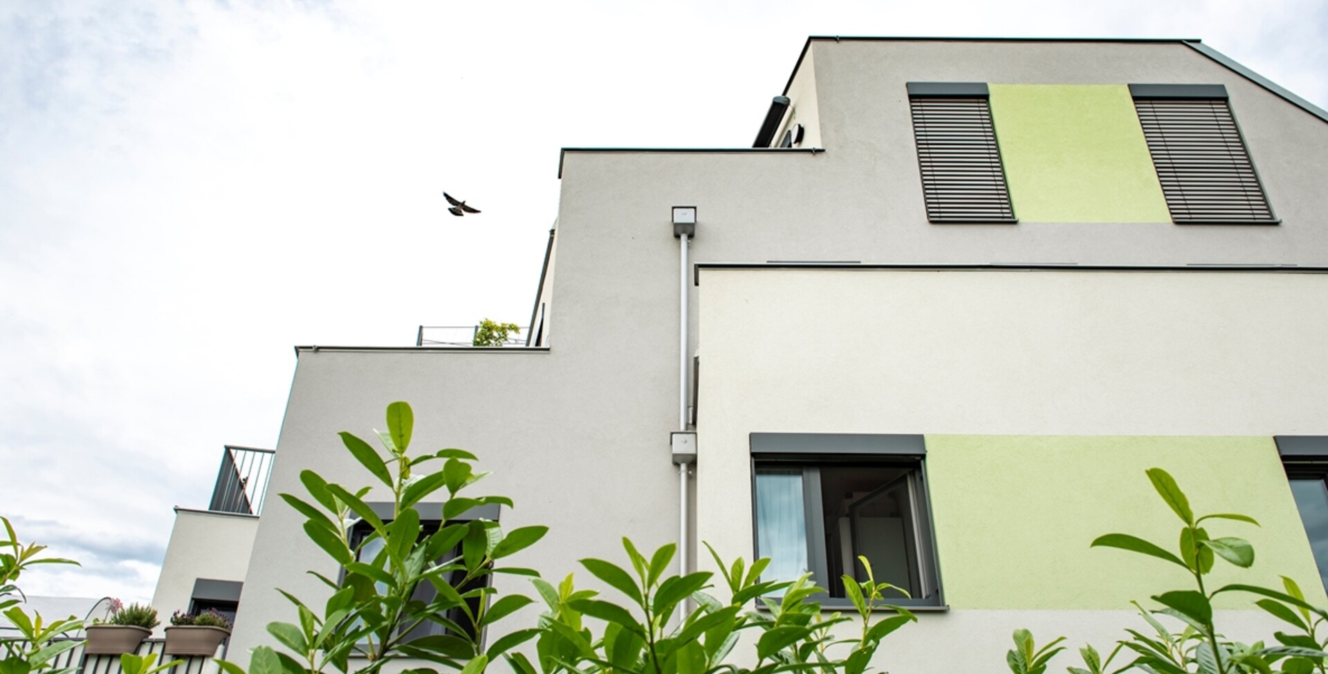 Drygalskiweg 11 "Superdry"